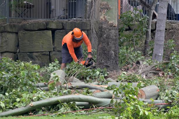 Tree Removal for Businesses in Tecumseh, MI